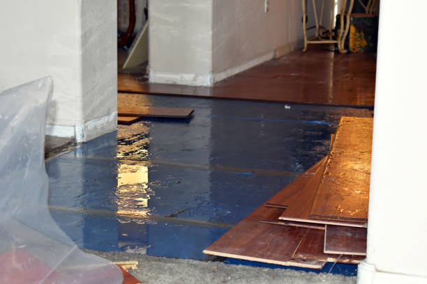 Professional Water Damage Restoration technician working in Dawson, IA